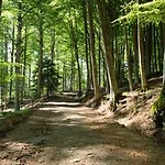 Sogno Amiatino 펜션 아바디아산살바토레